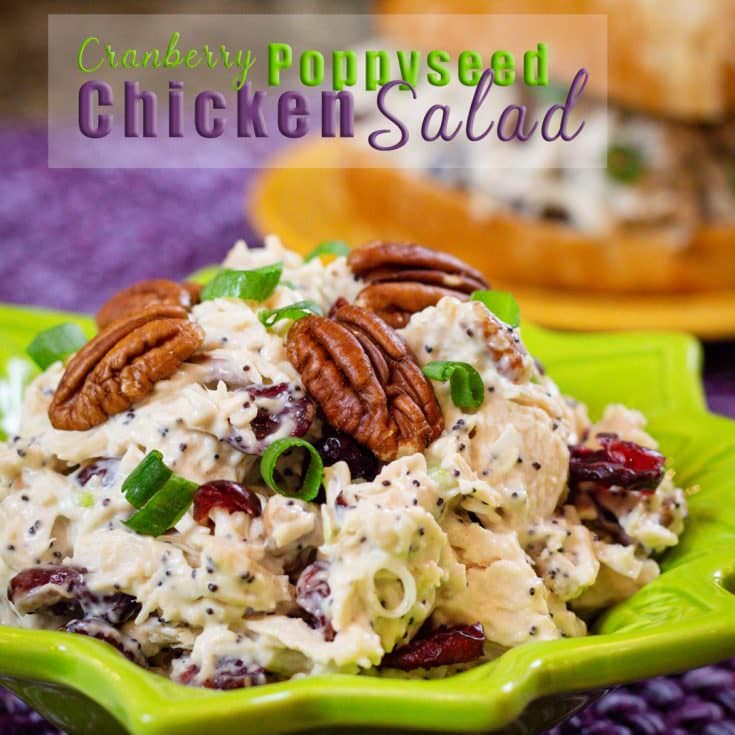 Easy Chicken Salad Recipe Recipe - Devour Dinner Instant Pot Recipe