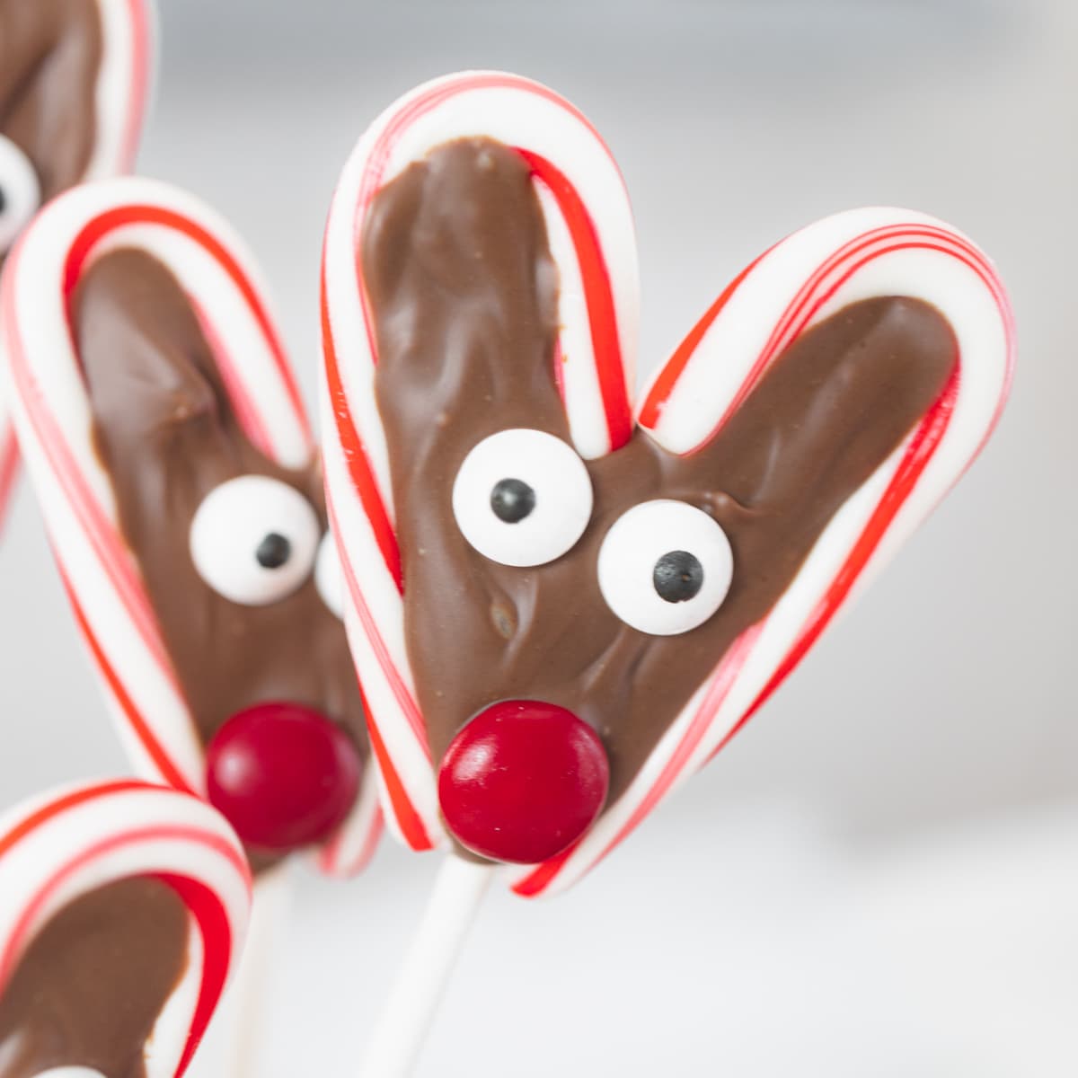 Reindeer Candy Cane Pudding Cups