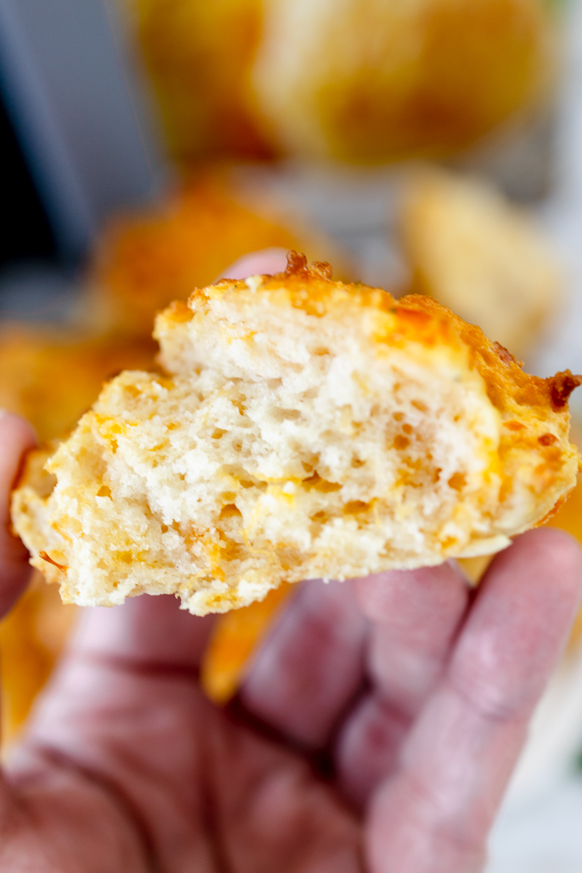 Red Lobster Biscuits in Air Fryer - Devour Dinner